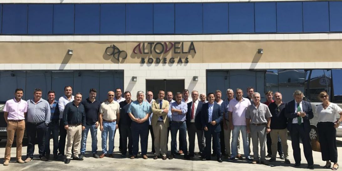 Fusión Altovela La Muela