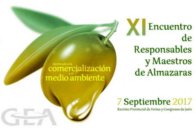 Captura de pantalla 2017-09-01 a las 13.54.50 Almazaras