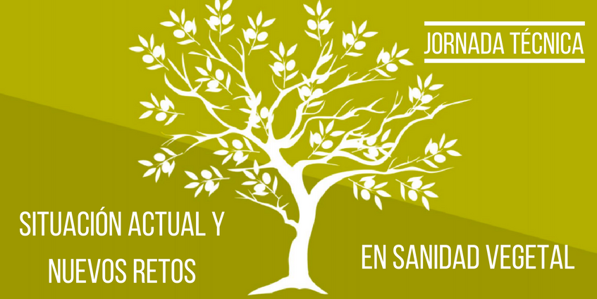 Jornada Sanidad Vegetal del Olivo