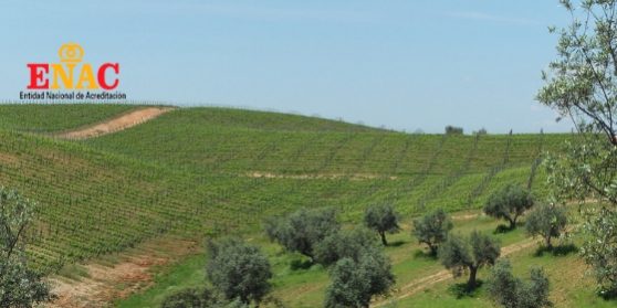 Tres nuevos programas de acreditación ENAC