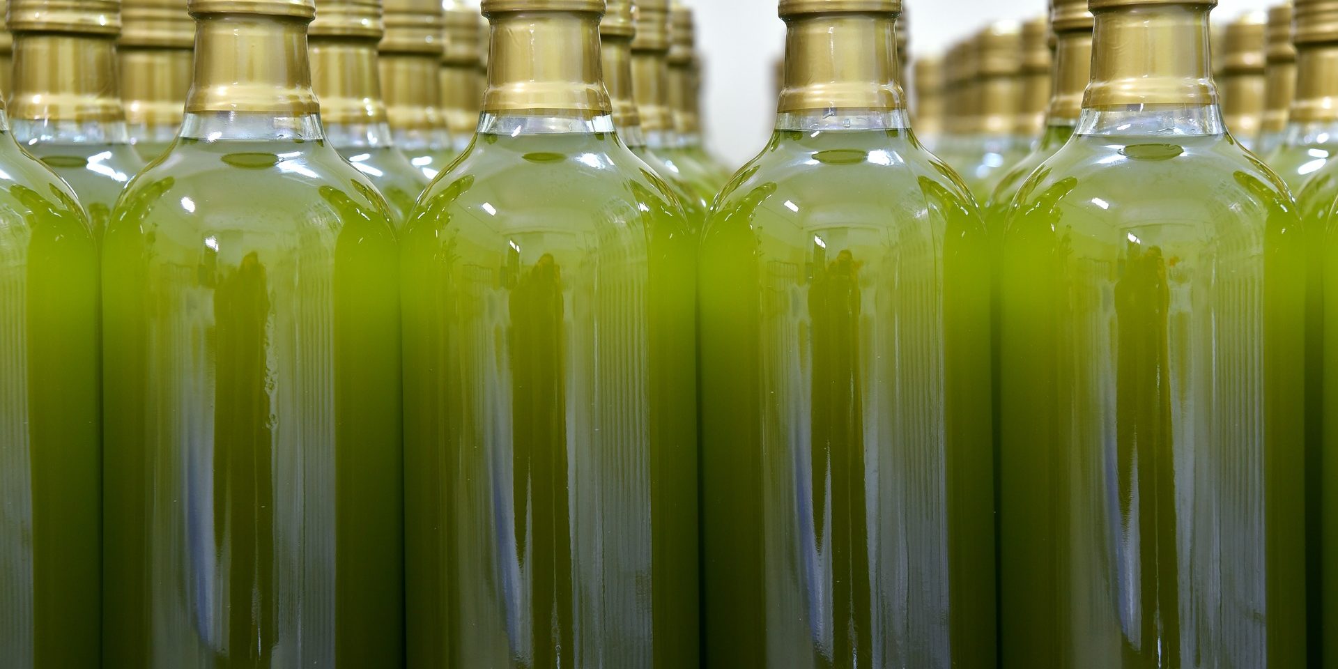 Aranceles aceite de oliva Estados Unidos