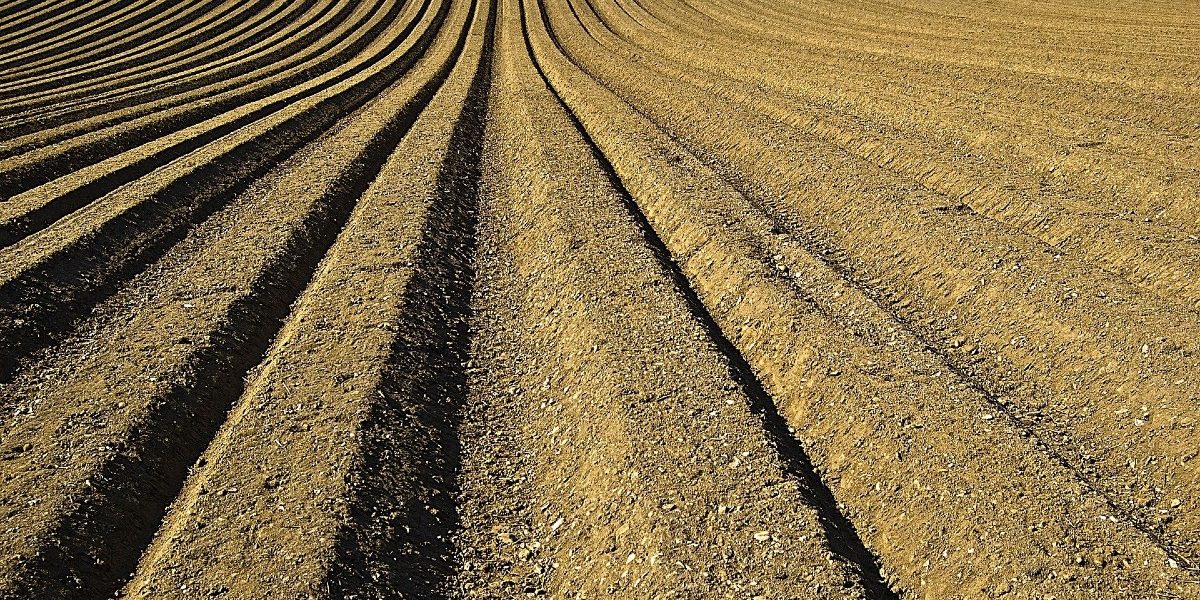 Incidencia de la crisis del COVID-19 en el sector agroalimentario