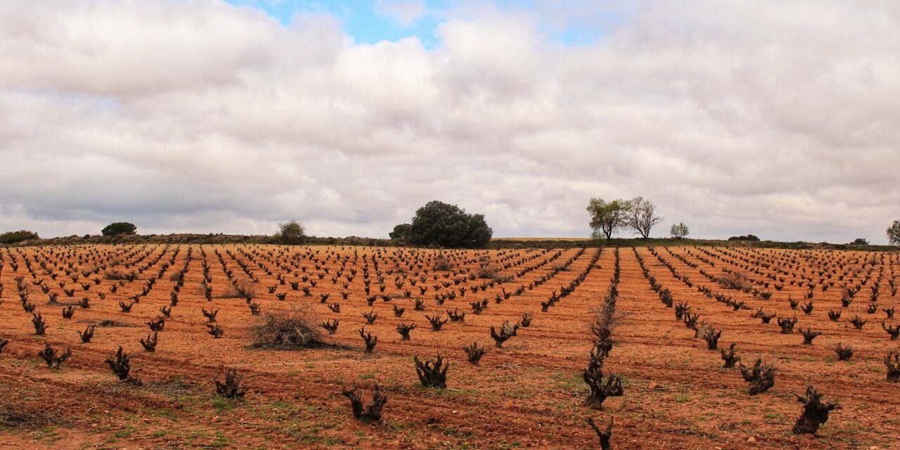 Modificación del Decreto condiciones EAPIR