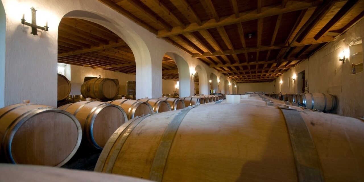 Ayudas VINATI Castilla-La Mancha