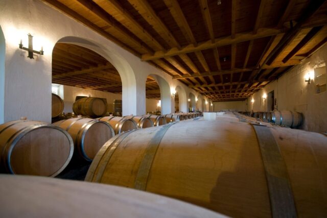 Ayudas VINATI Castilla-La Mancha