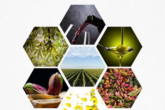 Cambios en la normativa de las ayudas FOCAL