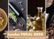 Ayudas FOCAL 2025