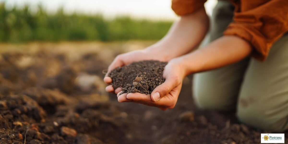 De la España vaciada a la España olvidada - el abandono de la agricultura y el mundo rural