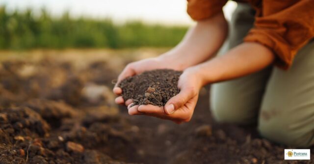 De la España vaciada a la España olvidada - el abandono de la agricultura y el mundo rural